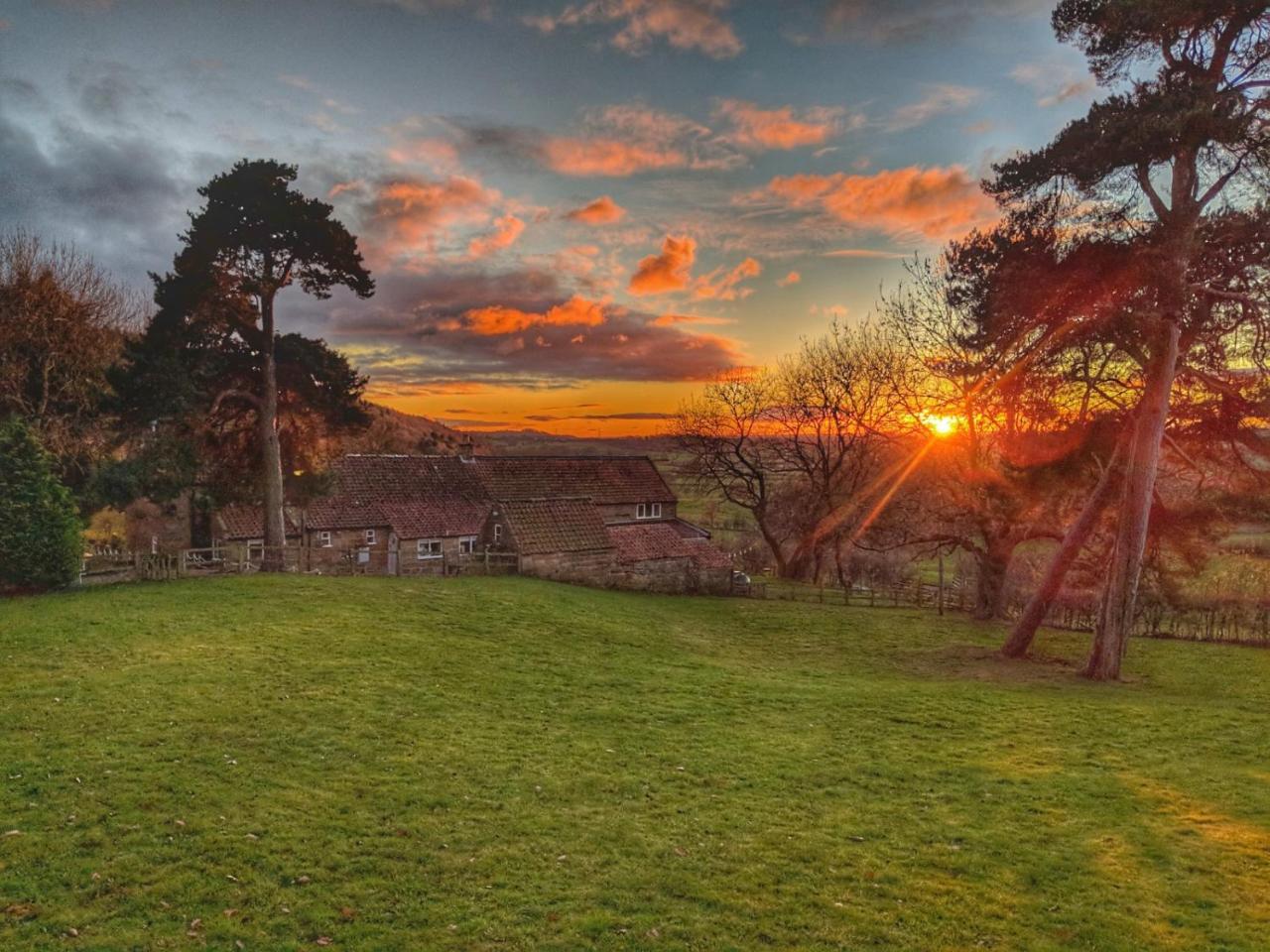 Park House Bed and Breakfast Ingleby Arncliffe Exteriör bild