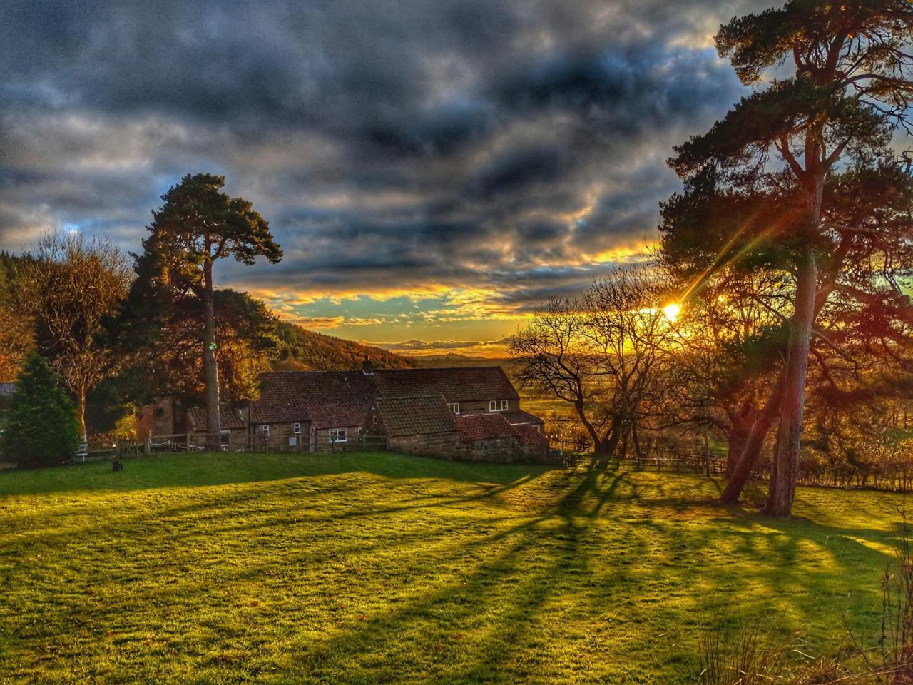 Park House Bed and Breakfast Ingleby Arncliffe Exteriör bild