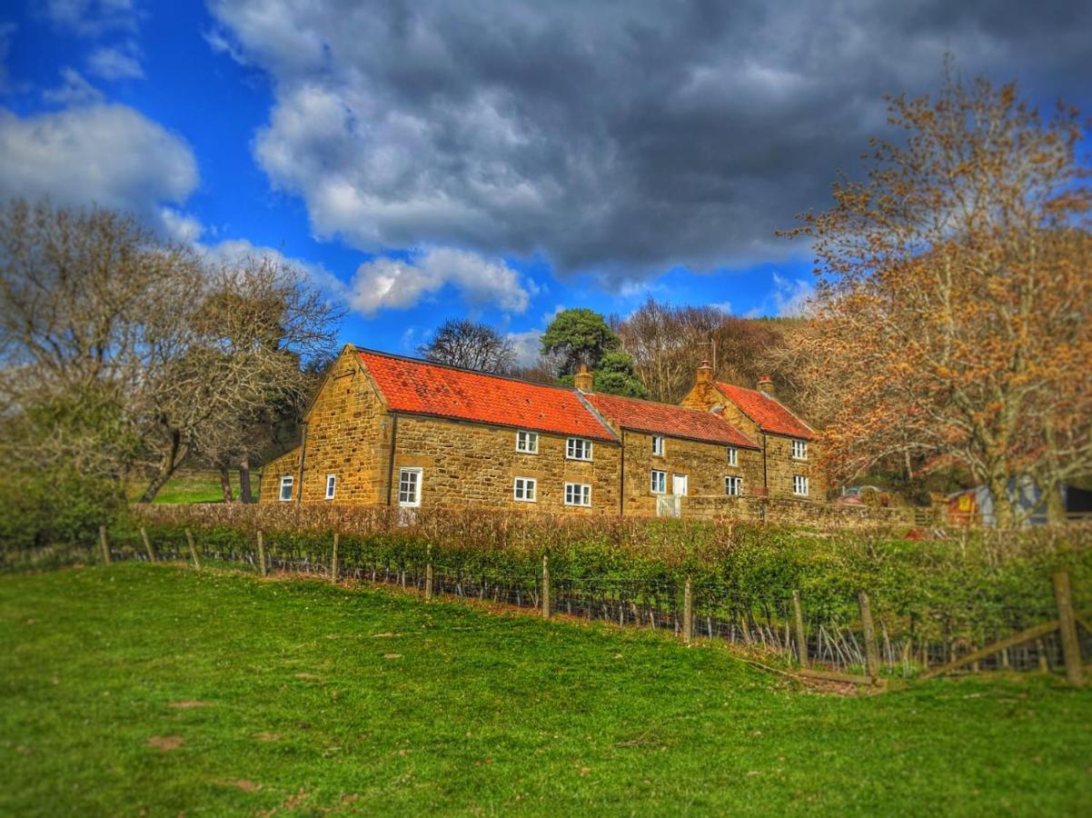 Park House Bed and Breakfast Ingleby Arncliffe Exteriör bild
